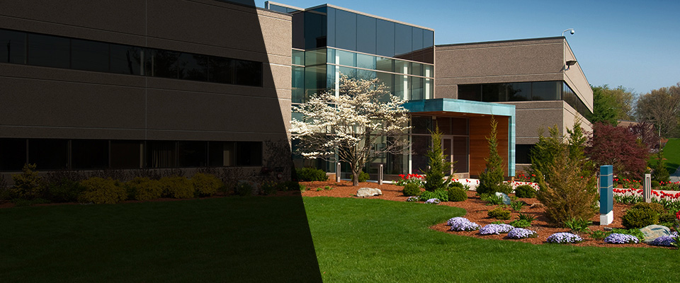 Bulls Gap Landscapers